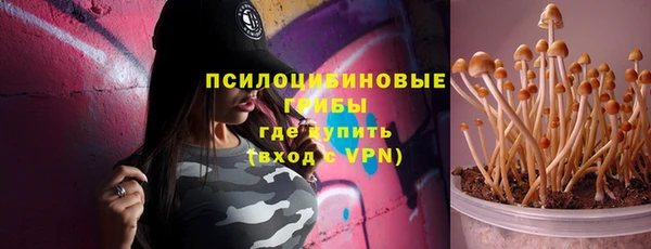 PSILOCYBIN Няндома