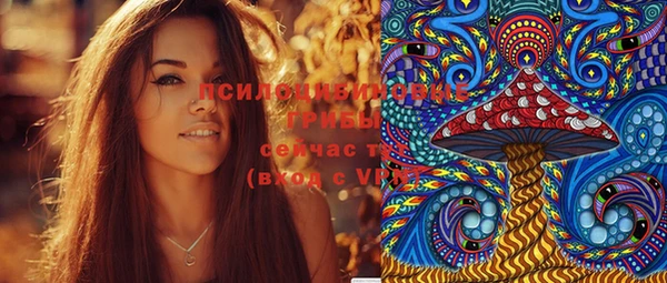 PSILOCYBIN Няндома