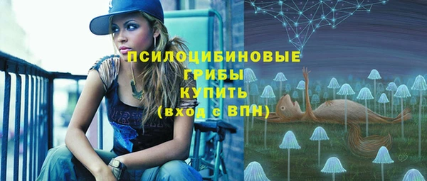 шишки Осташков