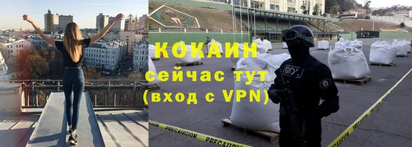 молекула духа Нягань