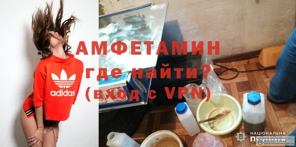 шишки Осташков