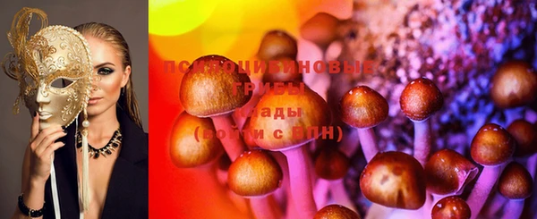 молекула духа Нягань
