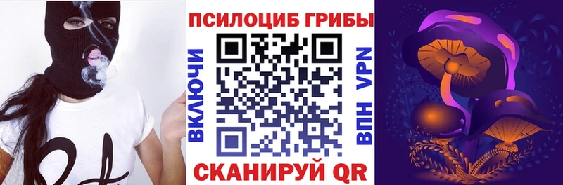 купить закладку Лебедянь Псилоцибиновые грибы Psilocybe
